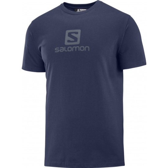 105000 Футболка муж. SALOMON X ALP GRAPHIC SS TEE M NIGHT р.M